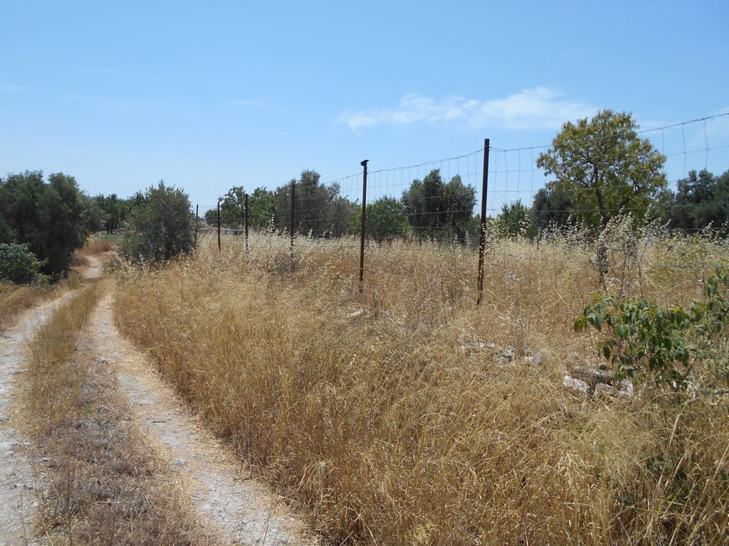 Finca/Casa di Campagna in vendita in Corbera d'Ebre - 24.000 € (Rif: 9958433)