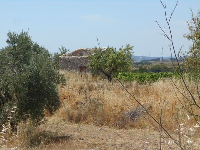 Finca/Casa di Campagna in vendita in Corbera d'Ebre - 24.000 € (Rif: 9958433)