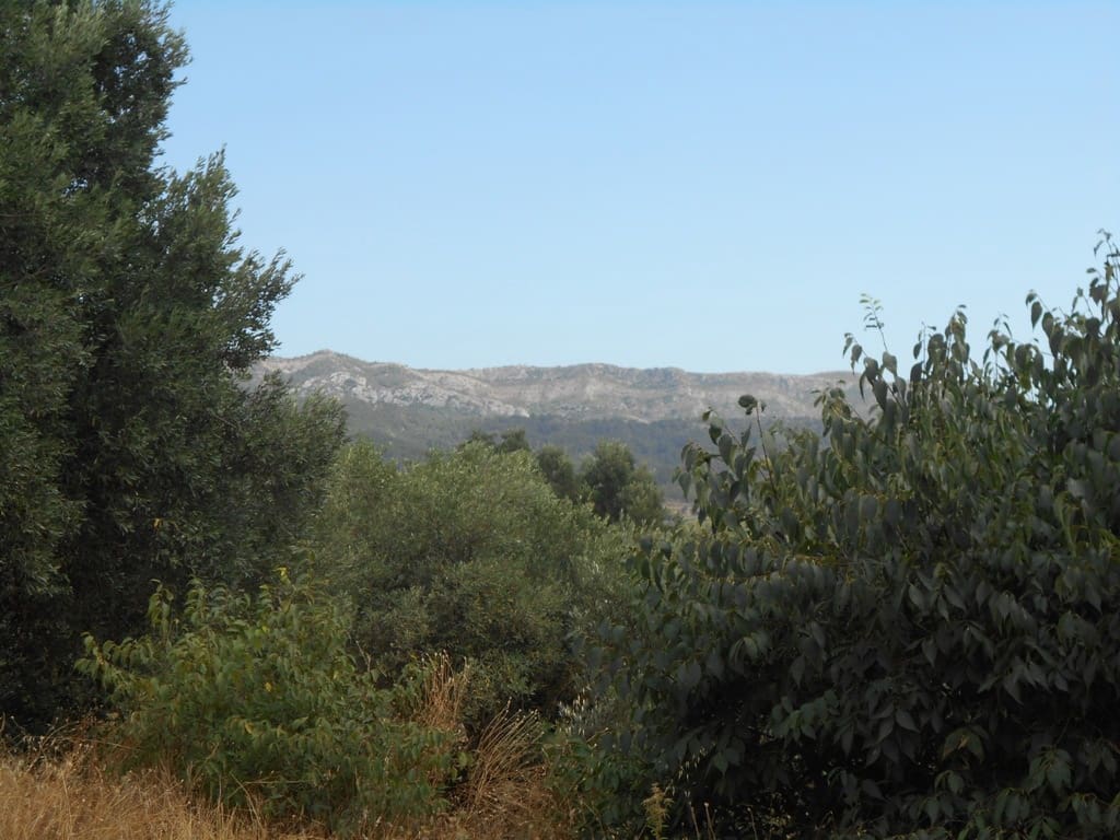 Finca/Casa di Campagna in vendita in Corbera d'Ebre - 24.000 € (Rif: 9958433)