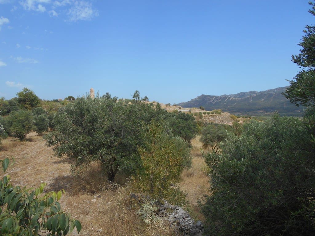 Finca/Casa di Campagna in vendita in Corbera d'Ebre - 24.000 € (Rif: 9958433)