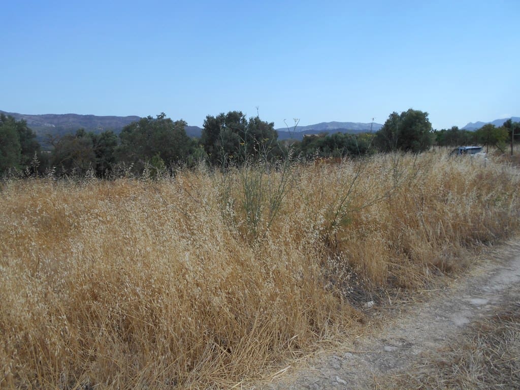 Finca/Casa di Campagna in vendita in Corbera d'Ebre - 24.000 € (Rif: 9958433)