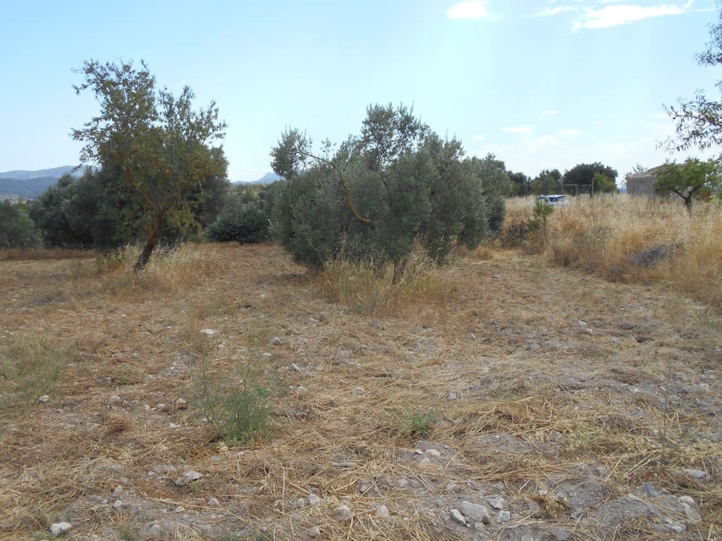Finca/Casa di Campagna in vendita in Corbera d'Ebre - 24.000 € (Rif: 9958433)