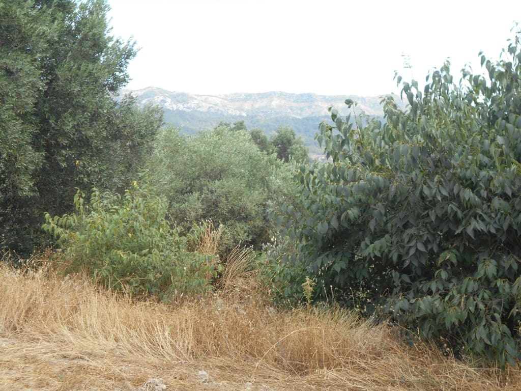 Finca/Casa di Campagna in vendita in Corbera d'Ebre - 24.000 € (Rif: 9958433)