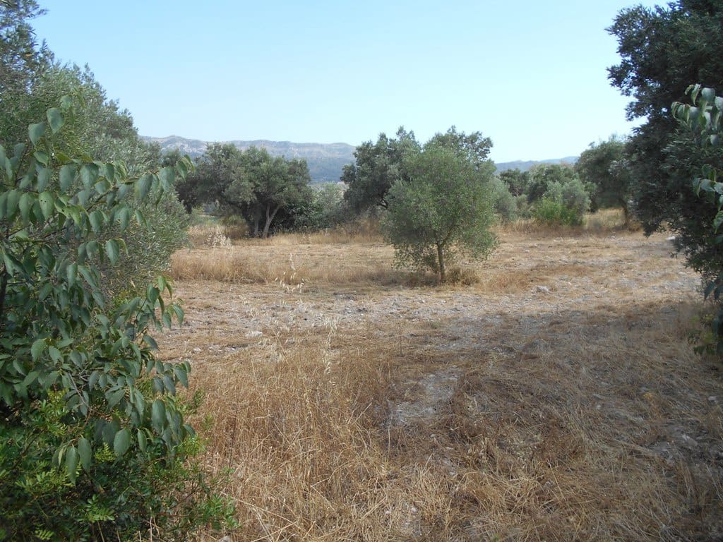 Finca/Casa di Campagna in vendita in Corbera d'Ebre - 24.000 € (Rif: 9958433)