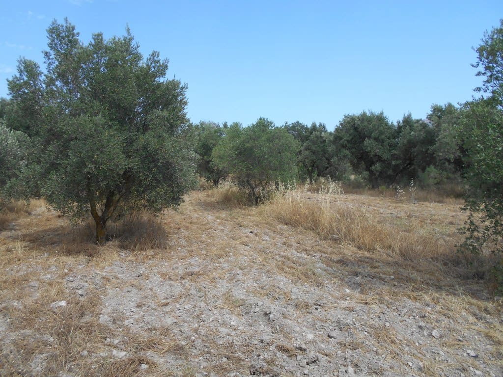 Finca/Casa di Campagna in vendita in Corbera d'Ebre - 24.000 € (Rif: 9958433)