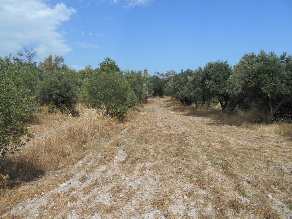 Finca/Casa di Campagna in vendita in Corbera d'Ebre - 24.000 € (Rif: 9958433)