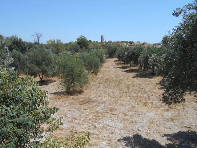 Finca/Casa di Campagna in vendita in Corbera d'Ebre - 24.000 € (Rif: 9958433)