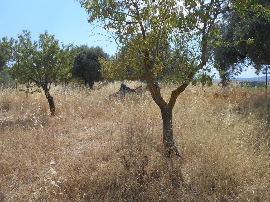 Finca/Casa di Campagna in vendita in Corbera d'Ebre - 24.000 € (Rif: 9958433)