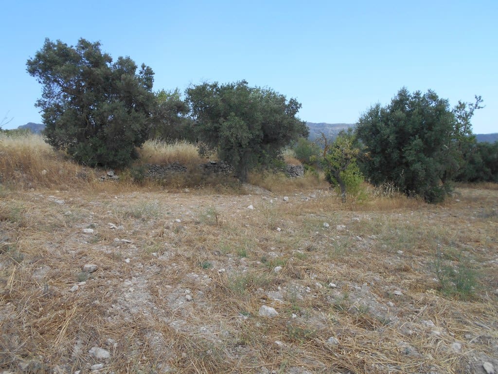 Finca/Casa di Campagna in vendita in Corbera d'Ebre - 24.000 € (Rif: 9958433)
