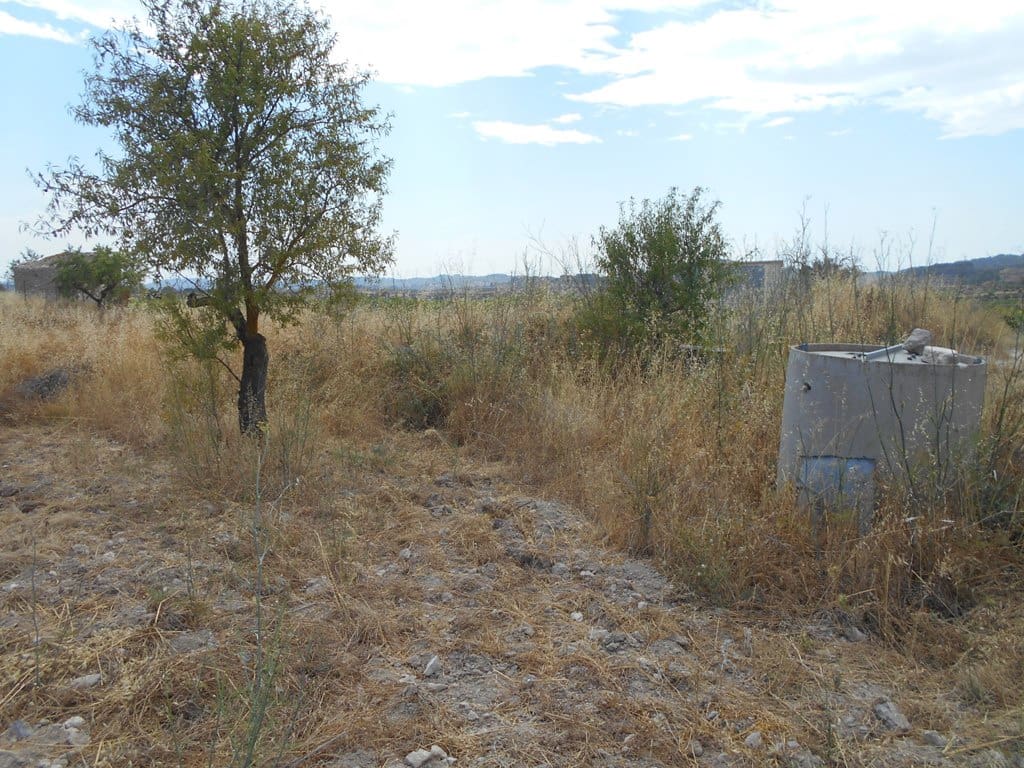 Finca/Casa di Campagna in vendita in Corbera d'Ebre - 24.000 € (Rif: 9958433)