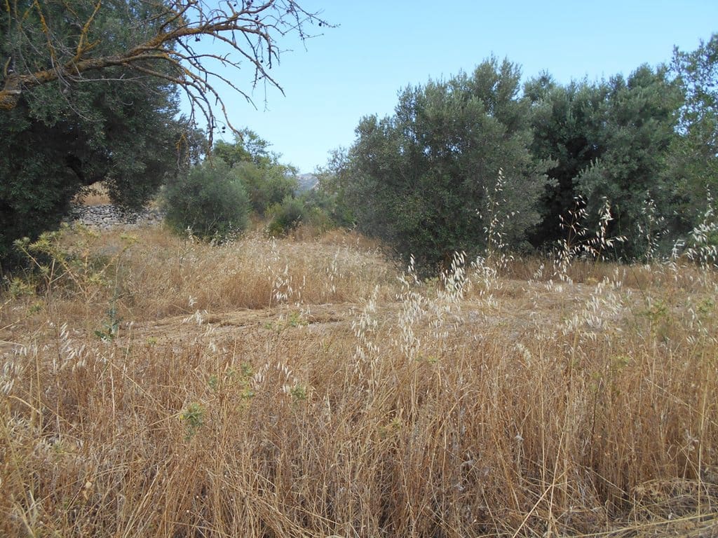 Finca/Casa di Campagna in vendita in Corbera d'Ebre - 24.000 € (Rif: 9958433)