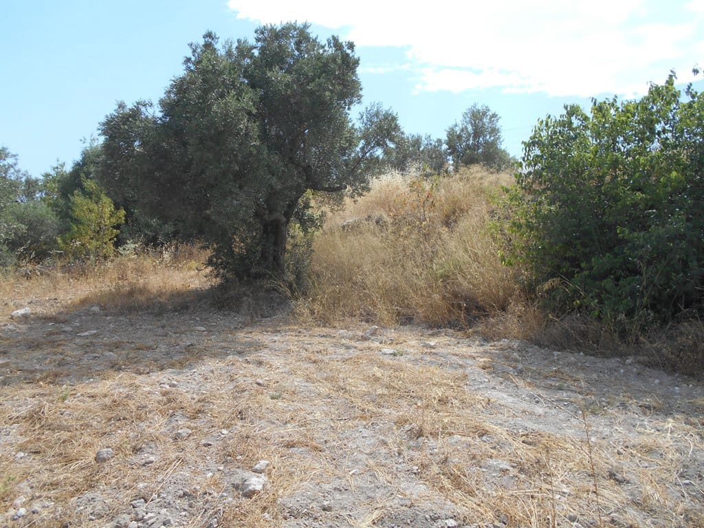 Finca/Casa di Campagna in vendita in Corbera d'Ebre - 24.000 € (Rif: 9958433)