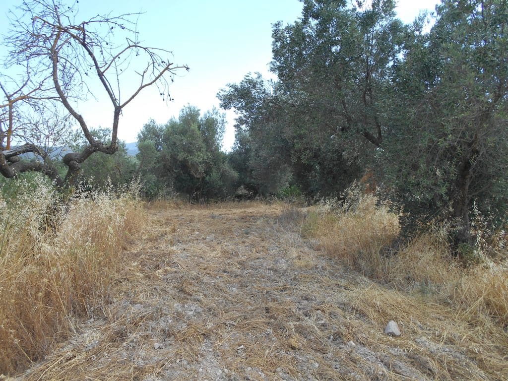 Finca/Casa di Campagna in vendita in Corbera d'Ebre - 24.000 € (Rif: 9958433)