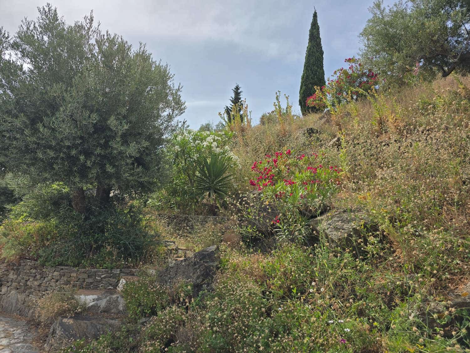 7 soveværelse Byhus til salg i Torrox med swimmingpool - € 880.000 (Ref: 9296653)