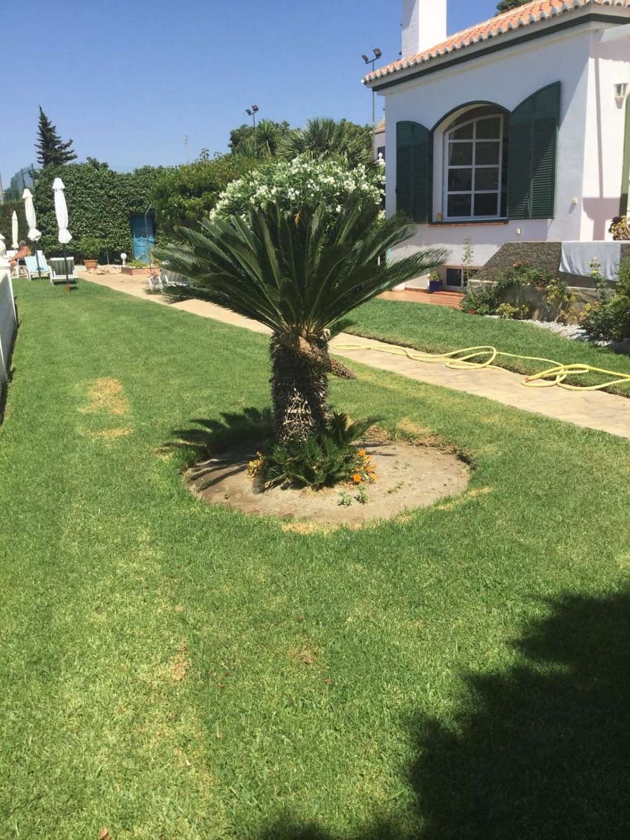 8 makuuhuone Huvila myytävänä paikassa Torrox mukana uima-altaan - 999 000 € (Ref: 9296660)