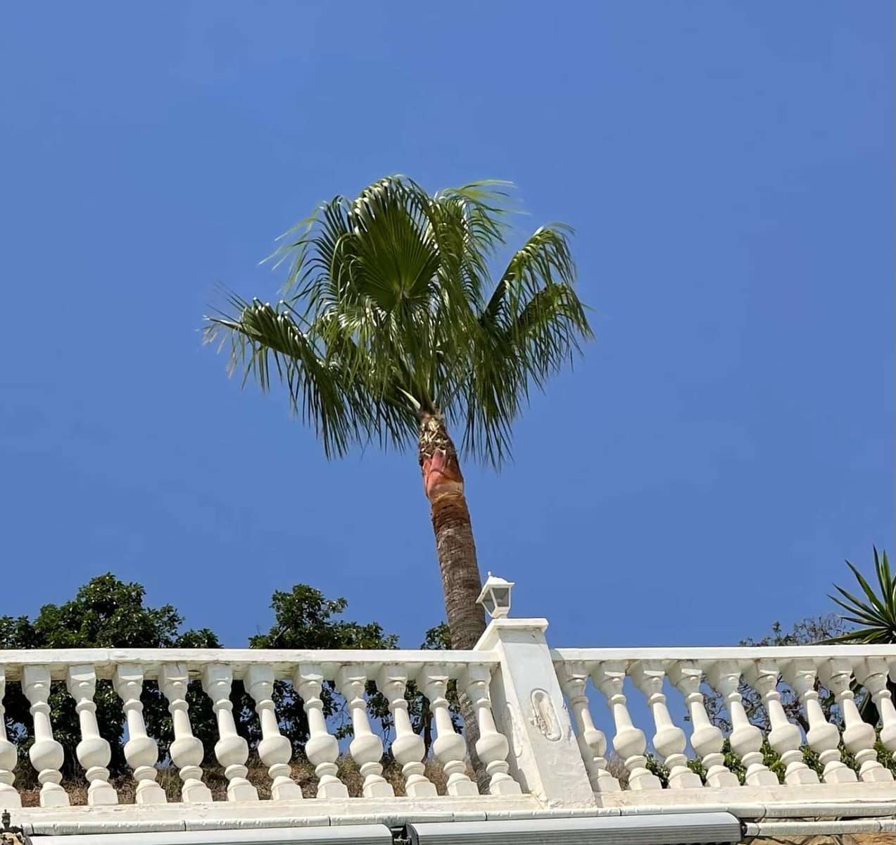 8 makuuhuone Huvila myytävänä paikassa Torrox mukana uima-altaan - 999 000 € (Ref: 9296660)