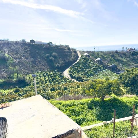 3 sypialnia Finka/Dom wiejski na sprzedaż w Vélez-Málaga - 340 000 € (Ref: 9518458)