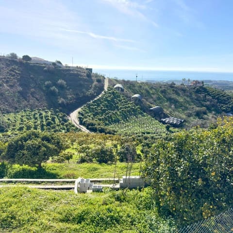 3 sypialnia Finka/Dom wiejski na sprzedaż w Vélez-Málaga - 340 000 € (Ref: 9518458)