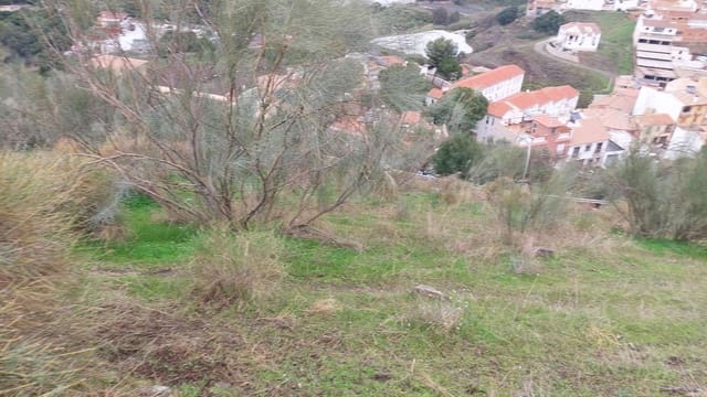 Grunde uden byggetilladelser til salg i Benamocarra - € 650.000 (Ref: 9543061)