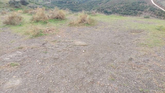 Grunde uden byggetilladelser til salg i Benamocarra - € 650.000 (Ref: 9543061)