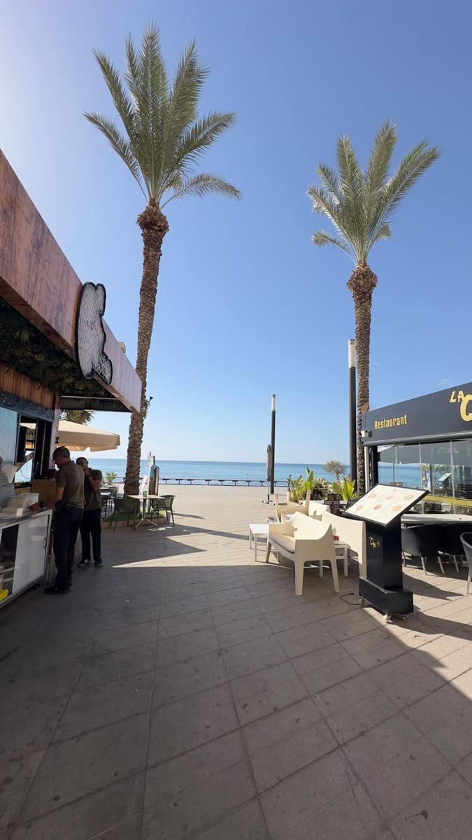 3 Zimmer Apartment zu vermieten in Torrevieja - 1.150 € (Ref: 10067967)