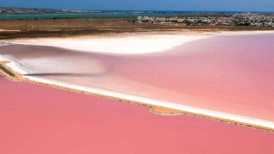 2 slaapkamer Appartement te huur in Torrevieja met zwembad - € 750 (Ref: 7097926)