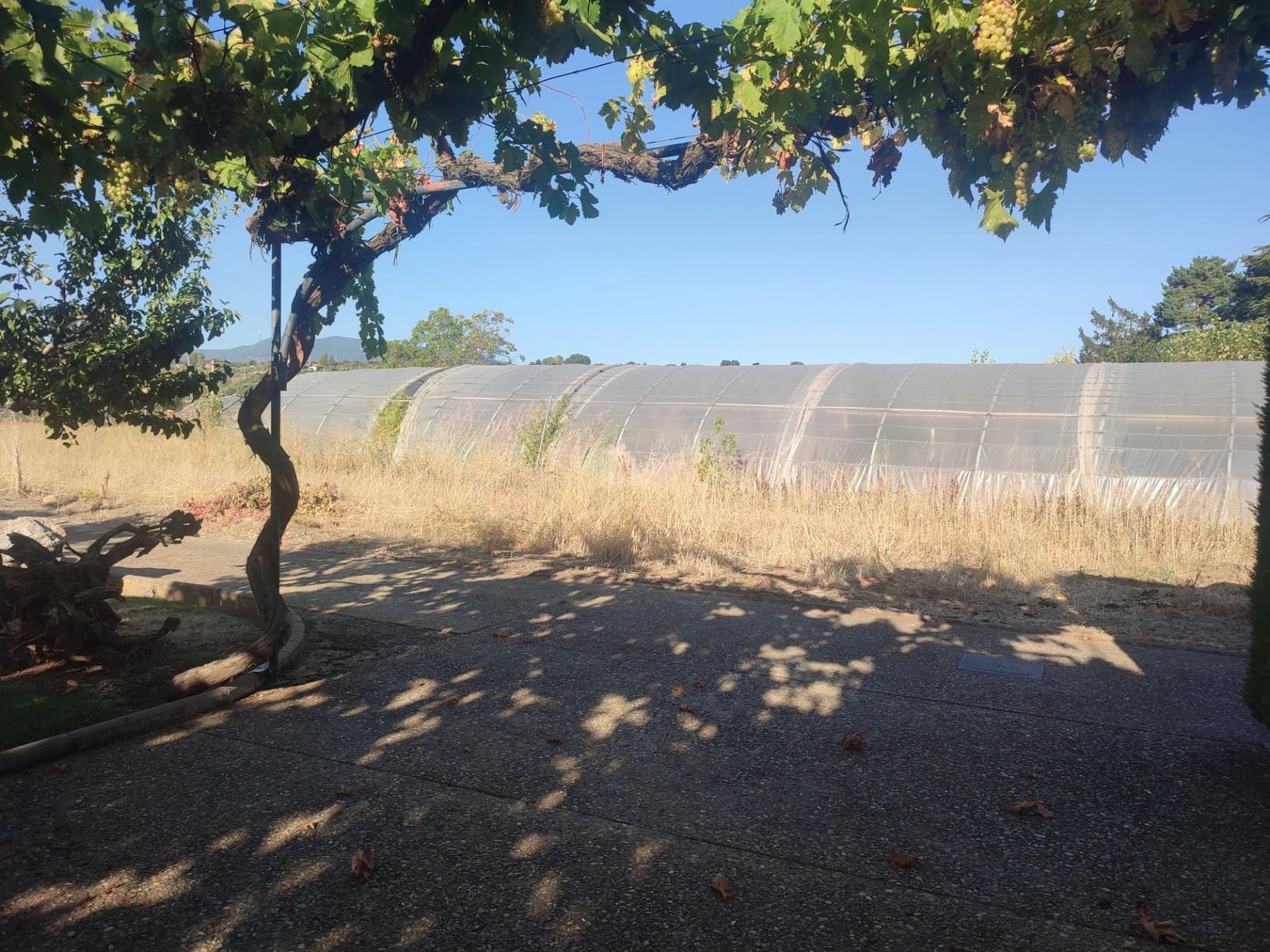 5 soverom Finca/Herregård til salgs i Albelda de Iregua med svømmebasseng garasje - € 1 000 000 (Ref: 7819064)