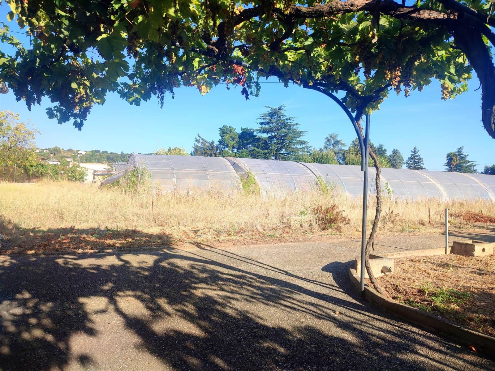 5 soverom Finca/Herregård til salgs i Albelda de Iregua med svømmebasseng garasje - € 1 000 000 (Ref: 7819064)