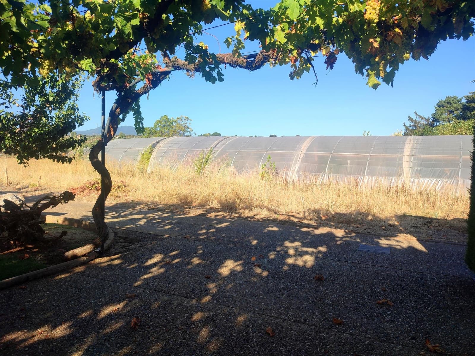 5 soverom Finca/Herregård til salgs i Albelda de Iregua med svømmebasseng garasje - € 1 000 000 (Ref: 7819064)