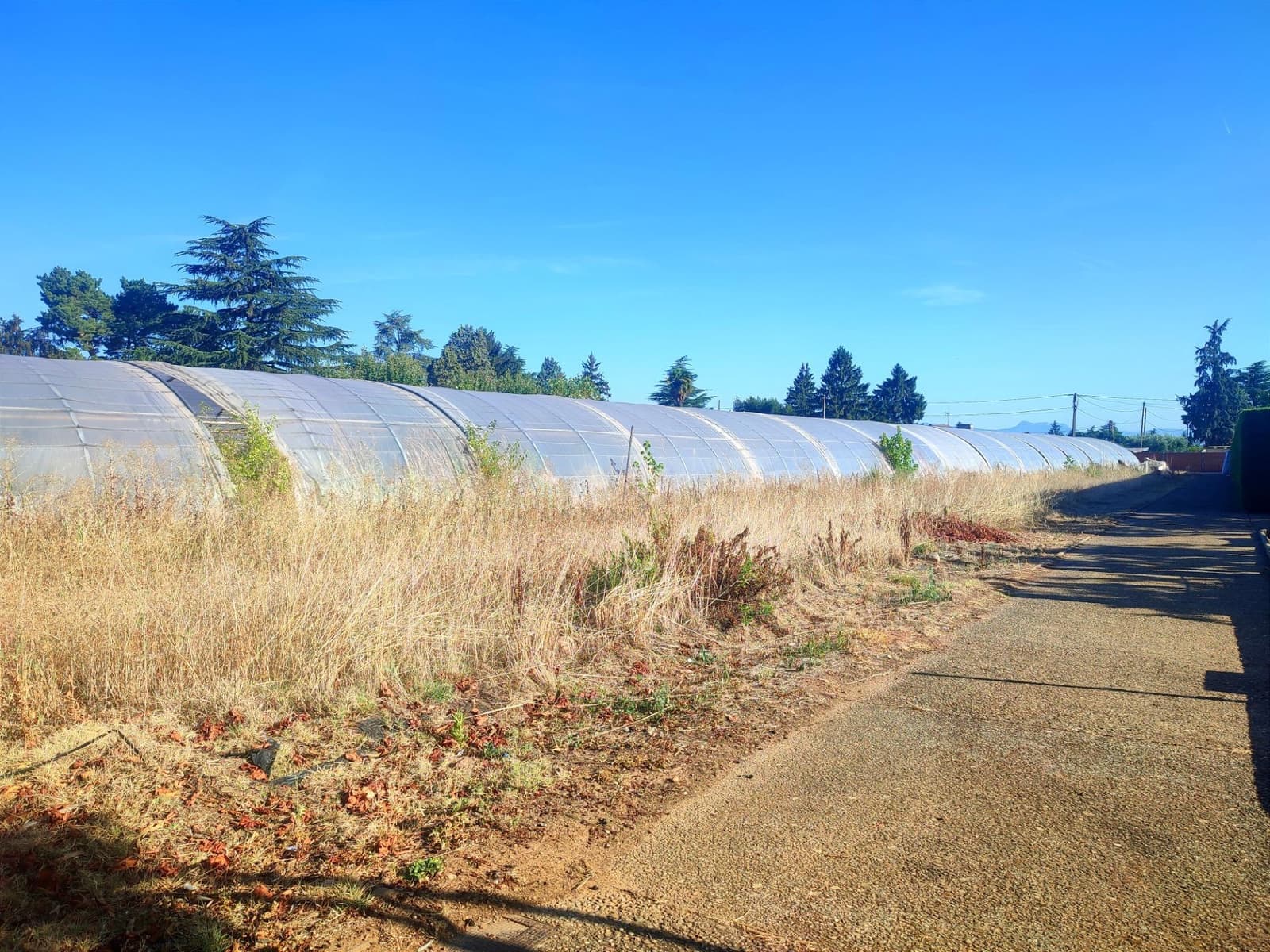 5 soverom Finca/Herregård til salgs i Albelda de Iregua med svømmebasseng garasje - € 1 000 000 (Ref: 7819064)