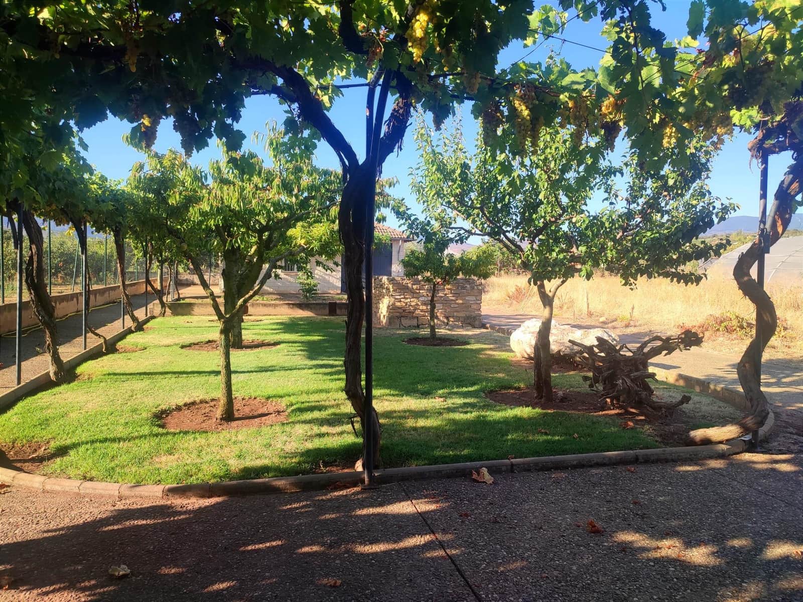 5 soverom Finca/Herregård til salgs i Albelda de Iregua med svømmebasseng garasje - € 1 000 000 (Ref: 7819064)