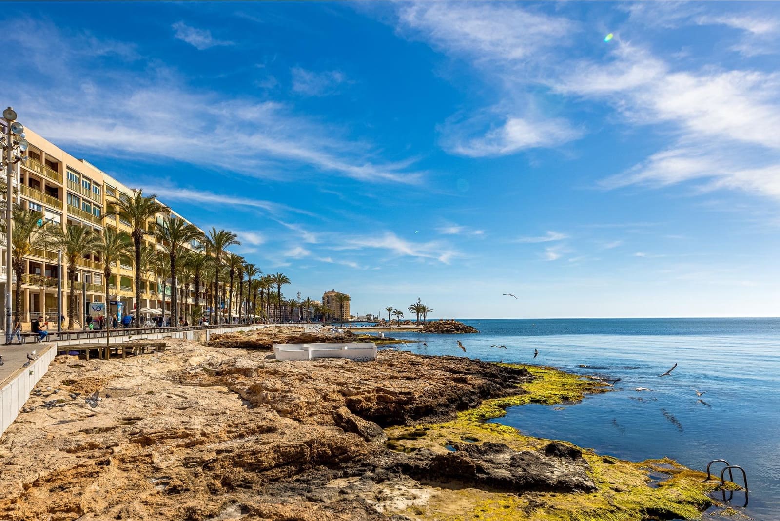 3 soverom Penthouse til leie i Torrevieja - € 1 600 (Ref: 8915446)