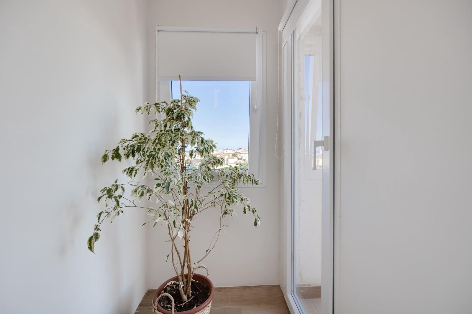 4 soveværelse Villa til leje i Torrevieja med swimmingpool garage - € 2.500 (Ref: 9317838)