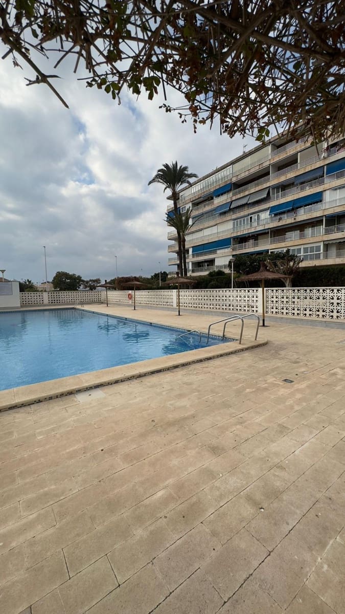 2 sypialnia Apartament do wynajęcia w Torrevieja z basenem - 1 100 € (Ref: 9452120)