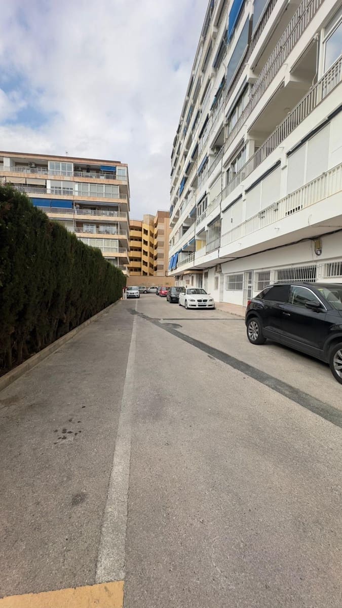 2 sypialnia Apartament do wynajęcia w Torrevieja z basenem - 1 100 € (Ref: 9452120)