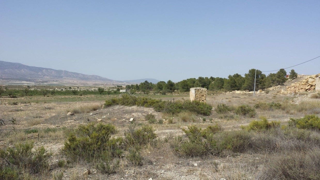 3 slaapkamer Finca/Landhuis te koop in La Zarza - € 255.000 (Ref: 7339320)