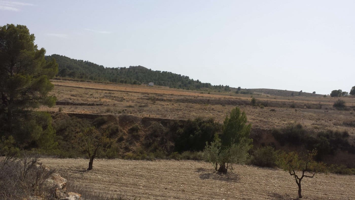 3 slaapkamer Finca/Landhuis te koop in La Zarza - € 255.000 (Ref: 7339320)