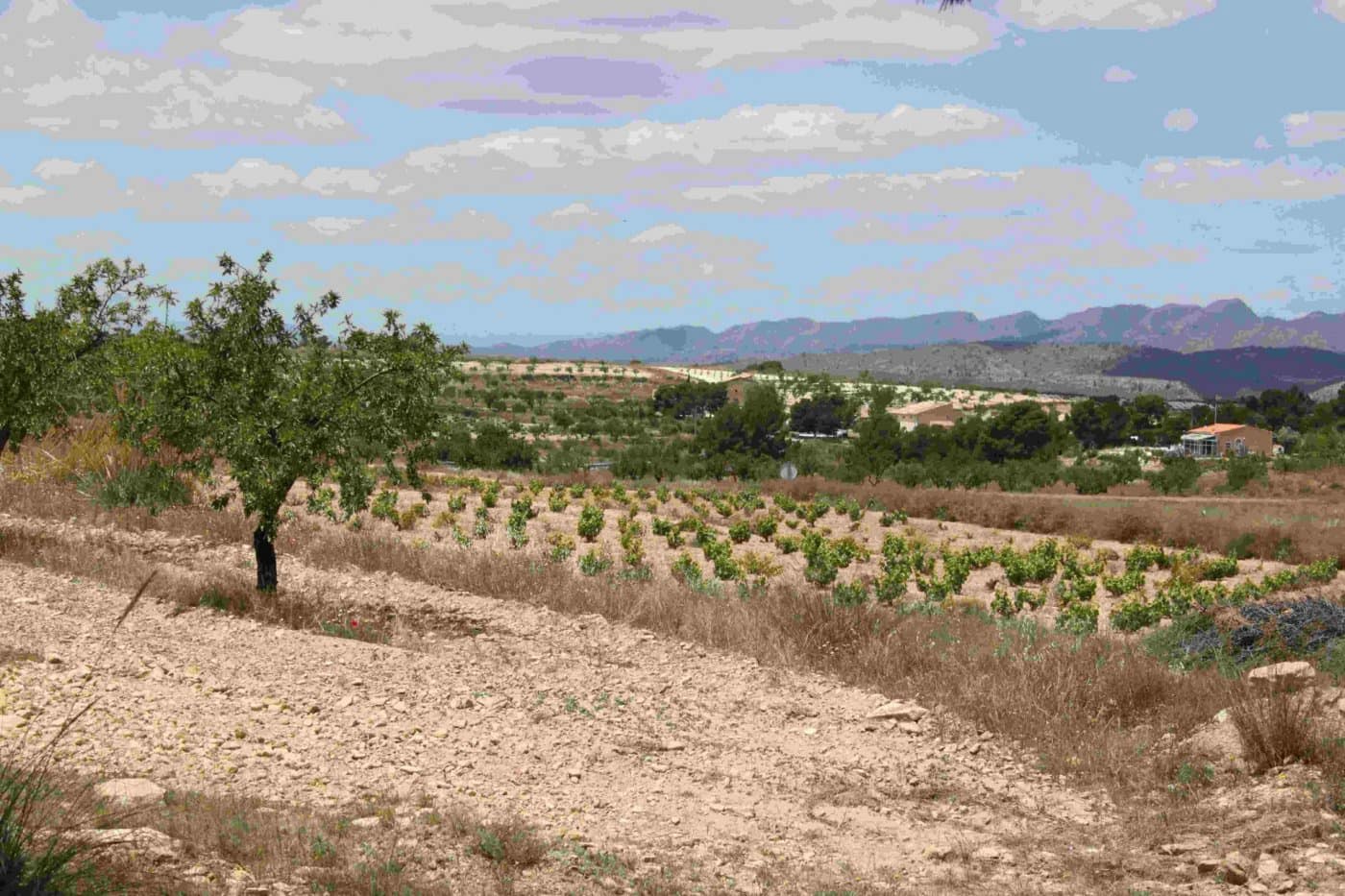 3 slaapkamer Finca/Landhuis te koop in La Zarza - € 255.000 (Ref: 7339320)