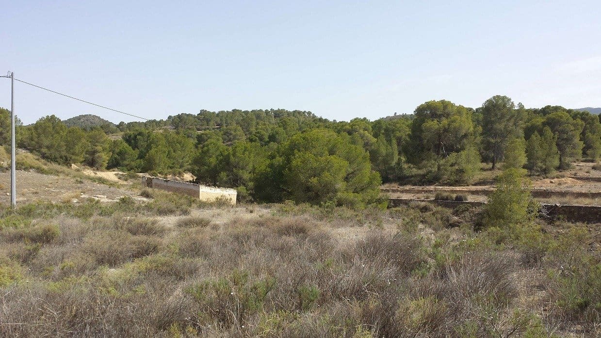 3 slaapkamer Finca/Landhuis te koop in La Zarza - € 255.000 (Ref: 7339320)