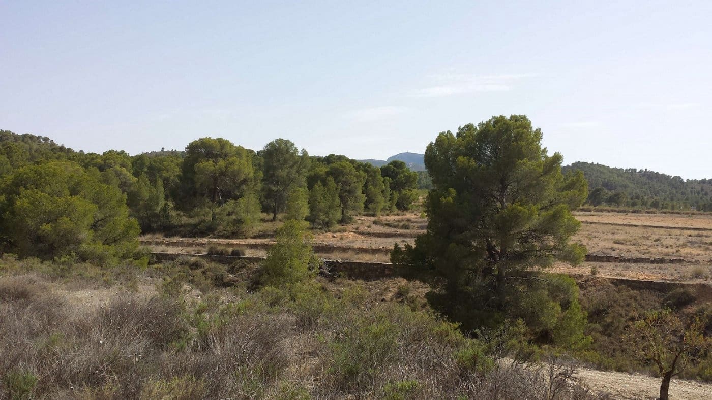 3 slaapkamer Finca/Landhuis te koop in La Zarza - € 255.000 (Ref: 7339320)