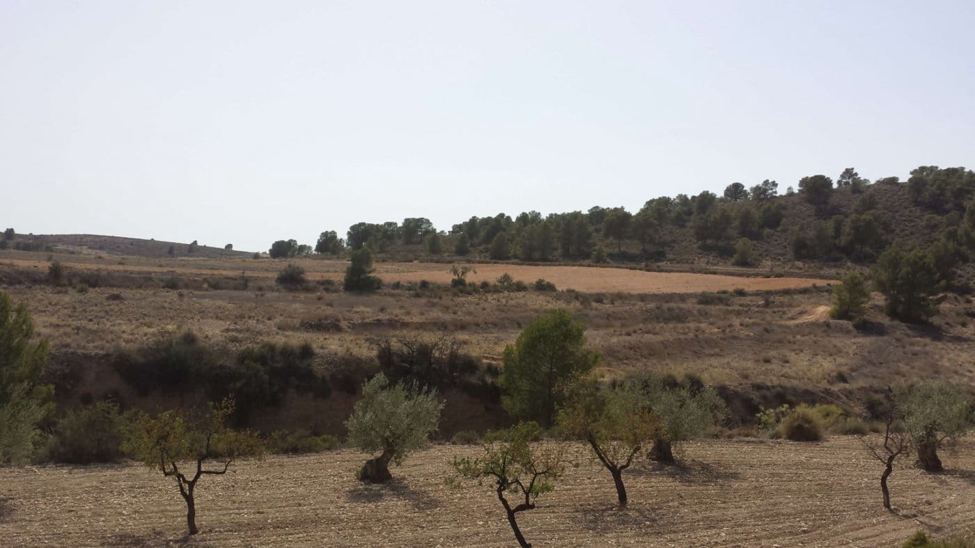 3 slaapkamer Finca/Landhuis te koop in La Zarza - € 255.000 (Ref: 7339320)