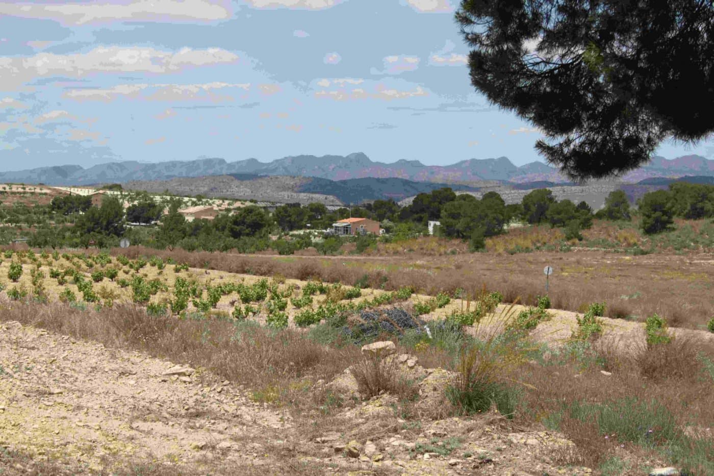 3 slaapkamer Finca/Landhuis te koop in La Zarza - € 255.000 (Ref: 7339320)