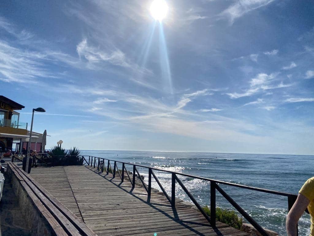 1 quarto Apartamento para arrendar em Punta Prima com piscina garagem - 650 € (Ref: 7546810)