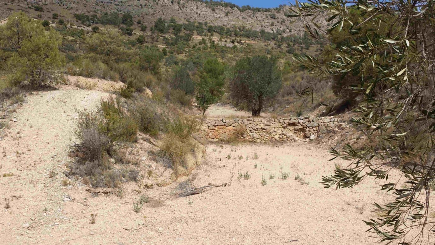 Bouwgrond te koop in Jumilla - € 90.000 (Ref: 7608194)