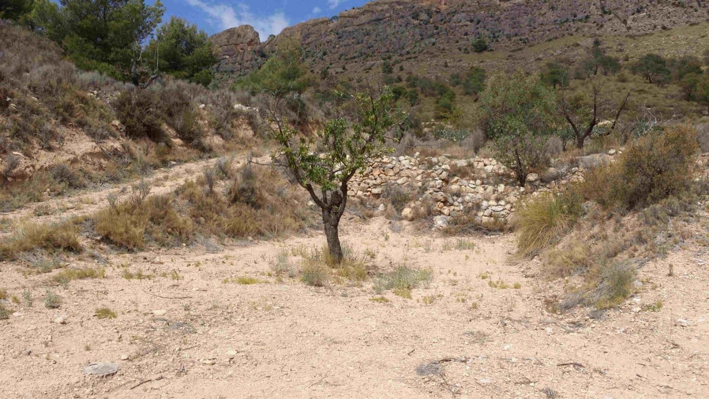 Bouwgrond te koop in Jumilla - € 90.000 (Ref: 7608194)