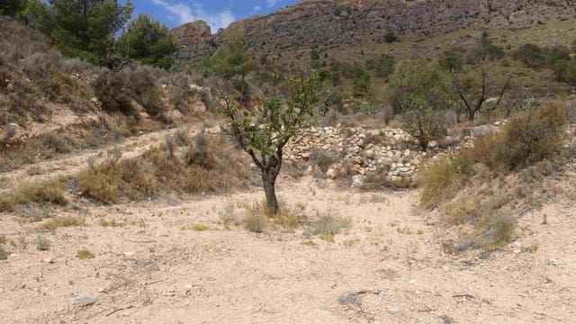 Terrain à Bâtir à vendre à Jumilla - 90 000 € (Ref: 7608194)