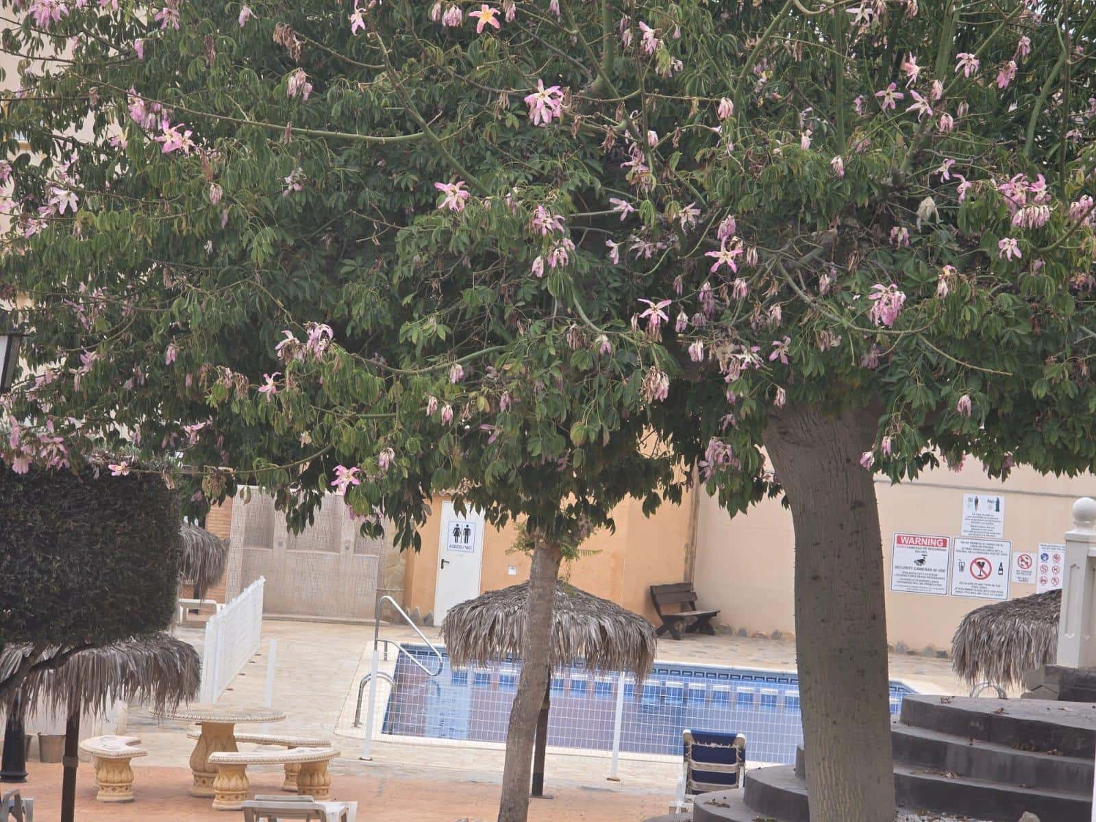 2 soveværelse Lejlighed til salg i Orihuela Costa med swimmingpool - € 144.900 (Ref: 9265436)