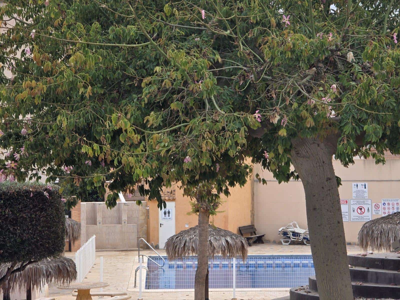 2 soverom Leilighet til salgs i Orihuela Costa med svømmebasseng - € 144 900 (Ref: 9265436)