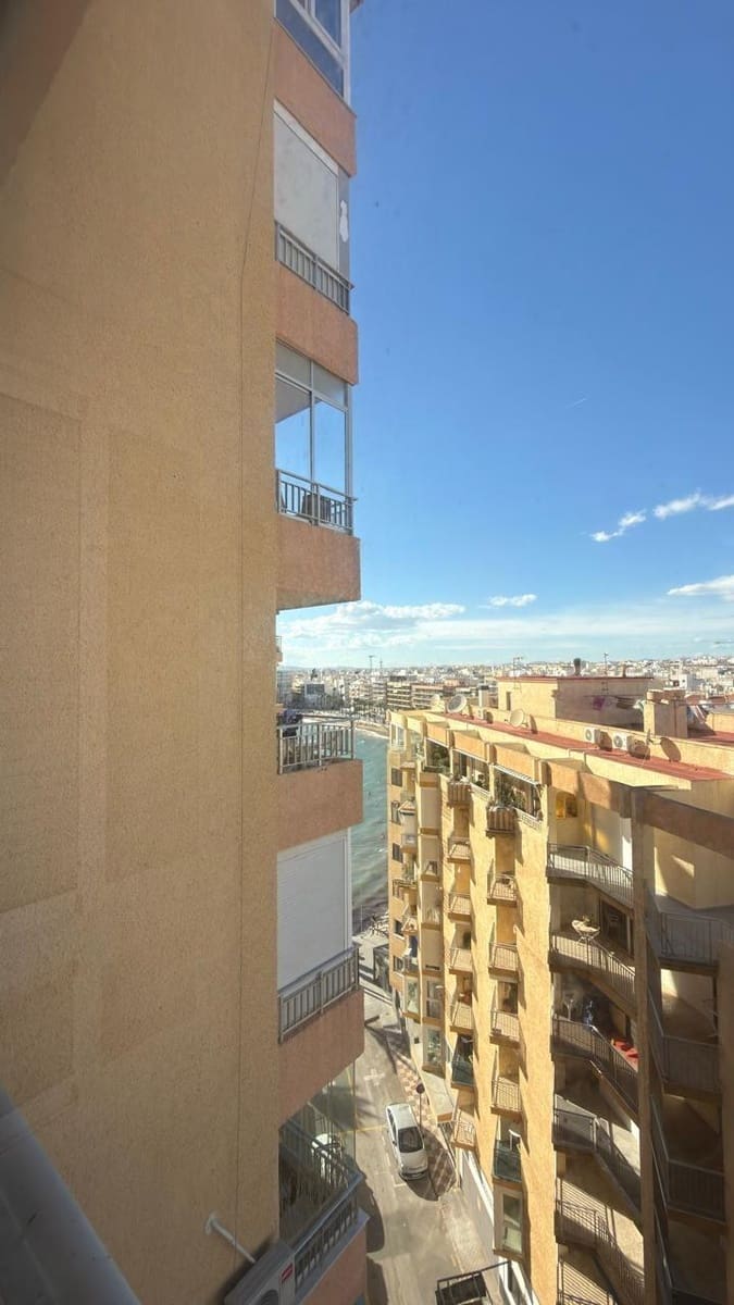 Studio do wynajęcia w Torrevieja - 550 € (Ref: 9335161)