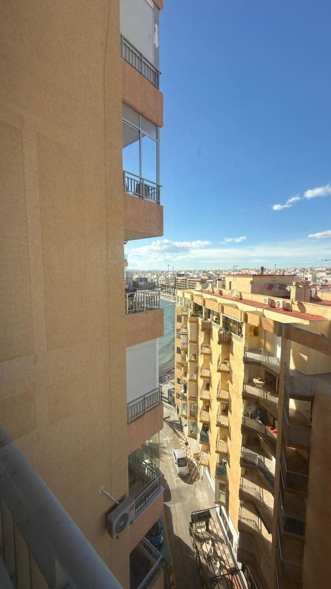 Studio do wynajęcia w Torrevieja - 550 € (Ref: 9335161)